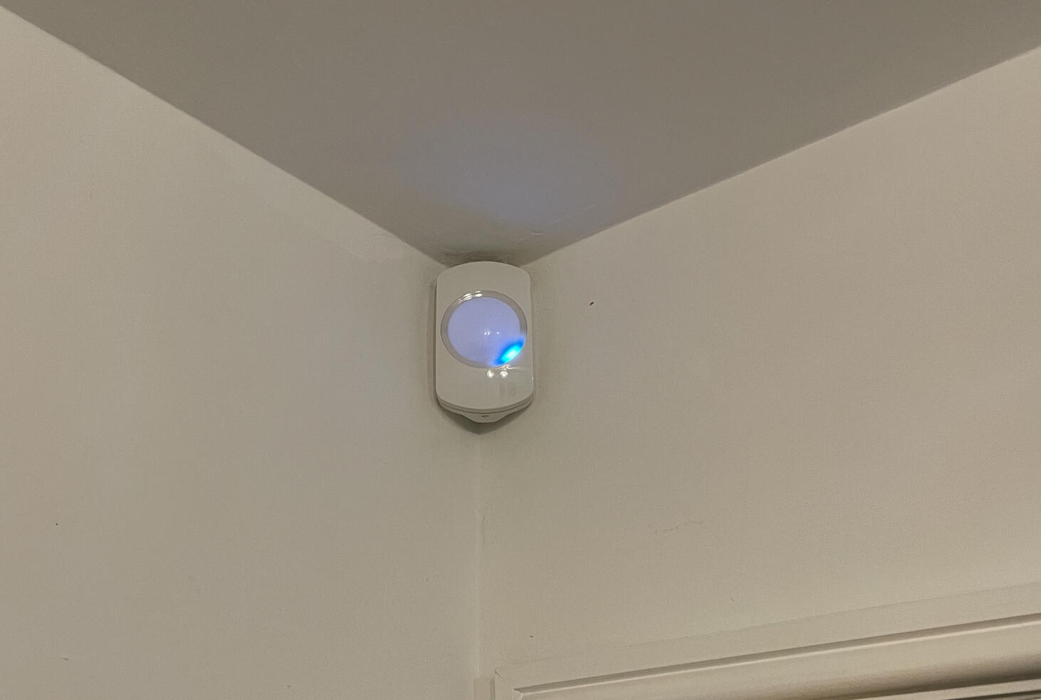 Installed D20 motion sensor